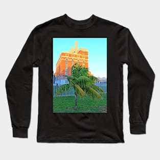 baby palm and the electricity museum Long Sleeve T-Shirt